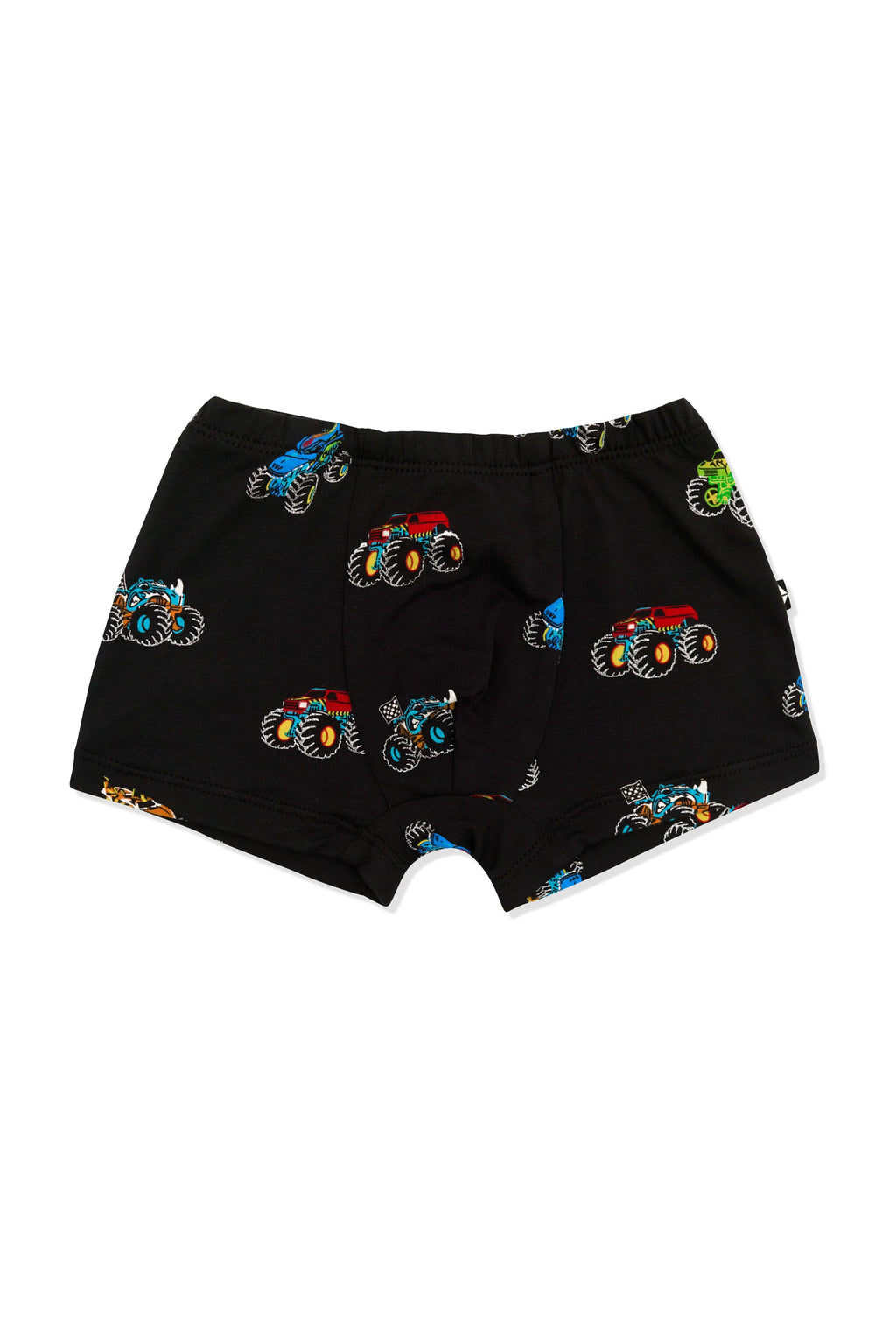 Briefs