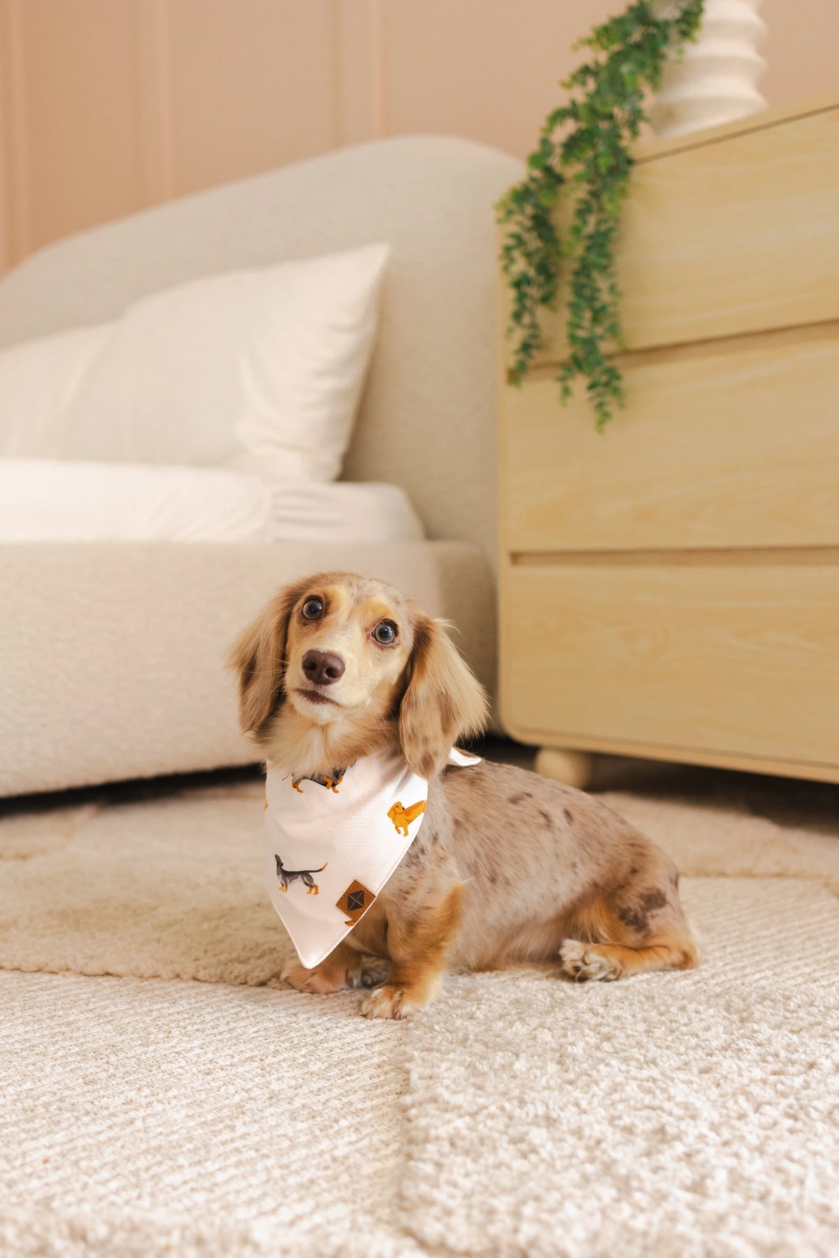 Dog Bandana