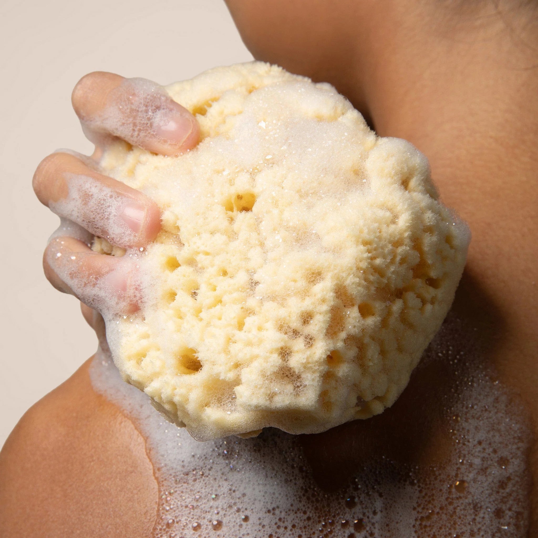 Sea Sponge Secondary image