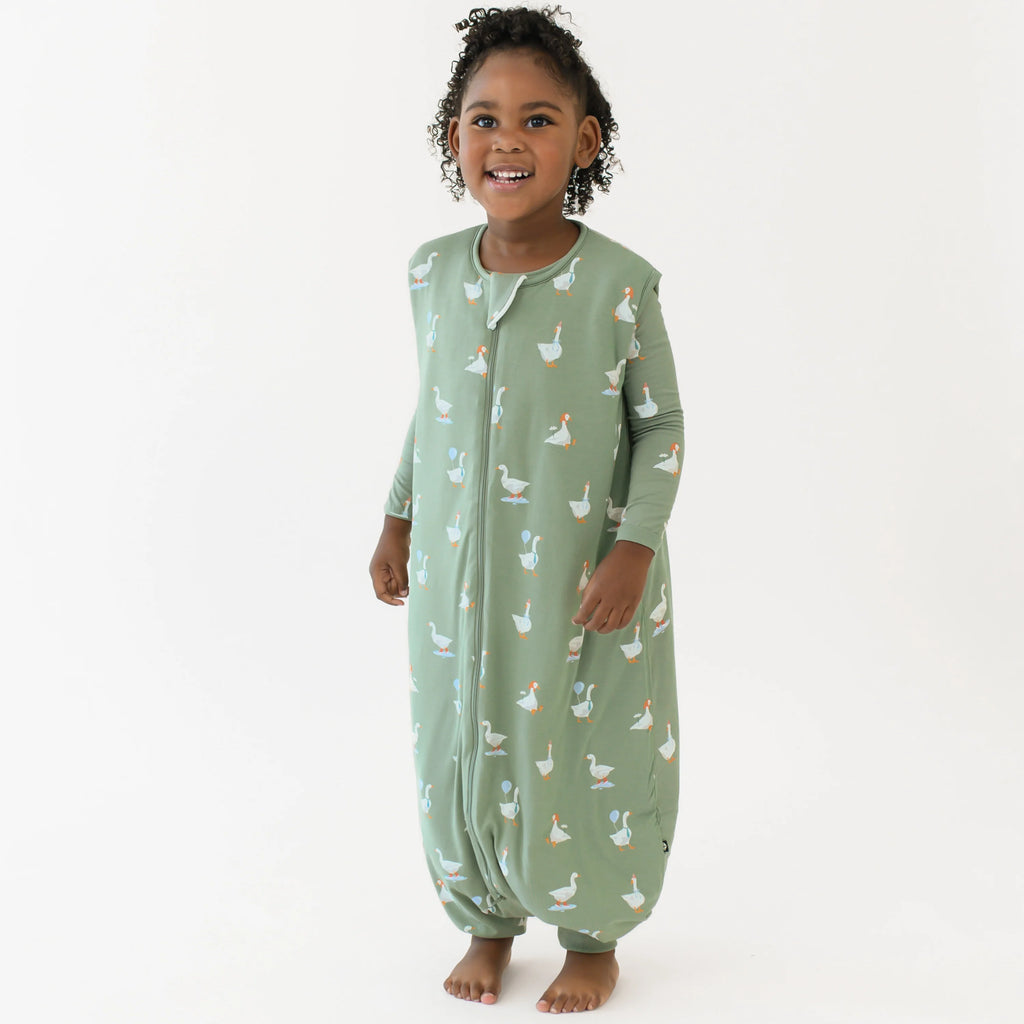 Sleep Bag Walker 1.0