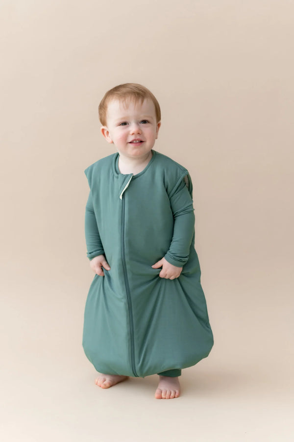 Sleep Bag Walker 2.5
