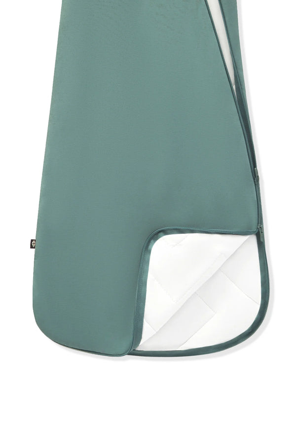 Sleep Bag 2.5