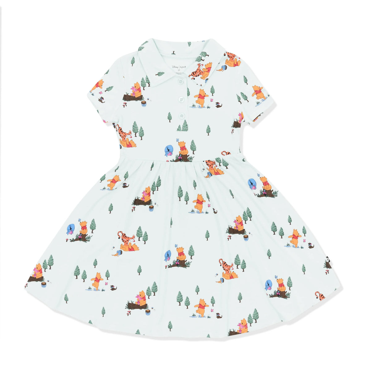 Polo Dress