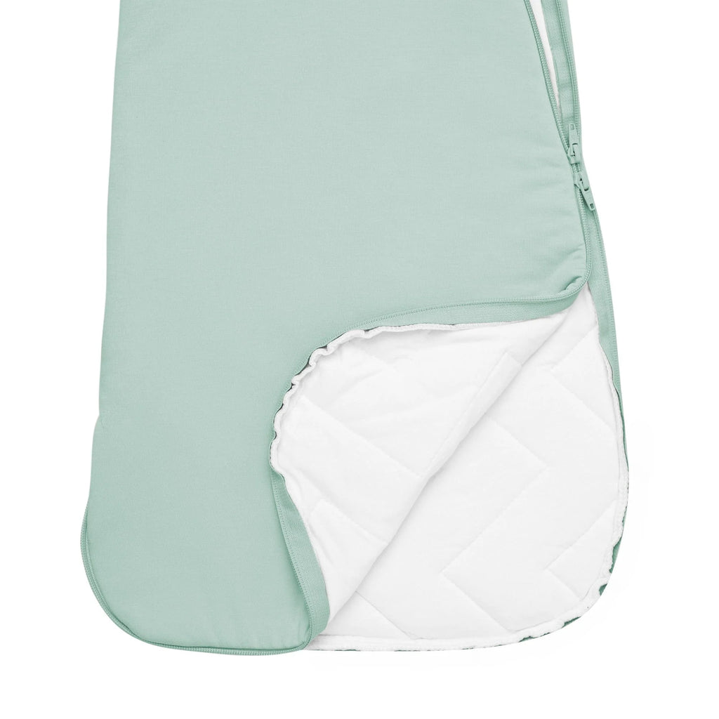 Sleep Bag 2.5