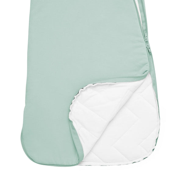 Sleep Bag 2.5