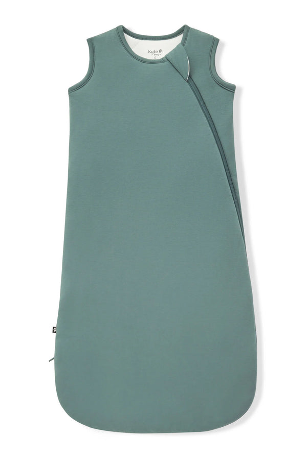 Sleep Bag 2.5