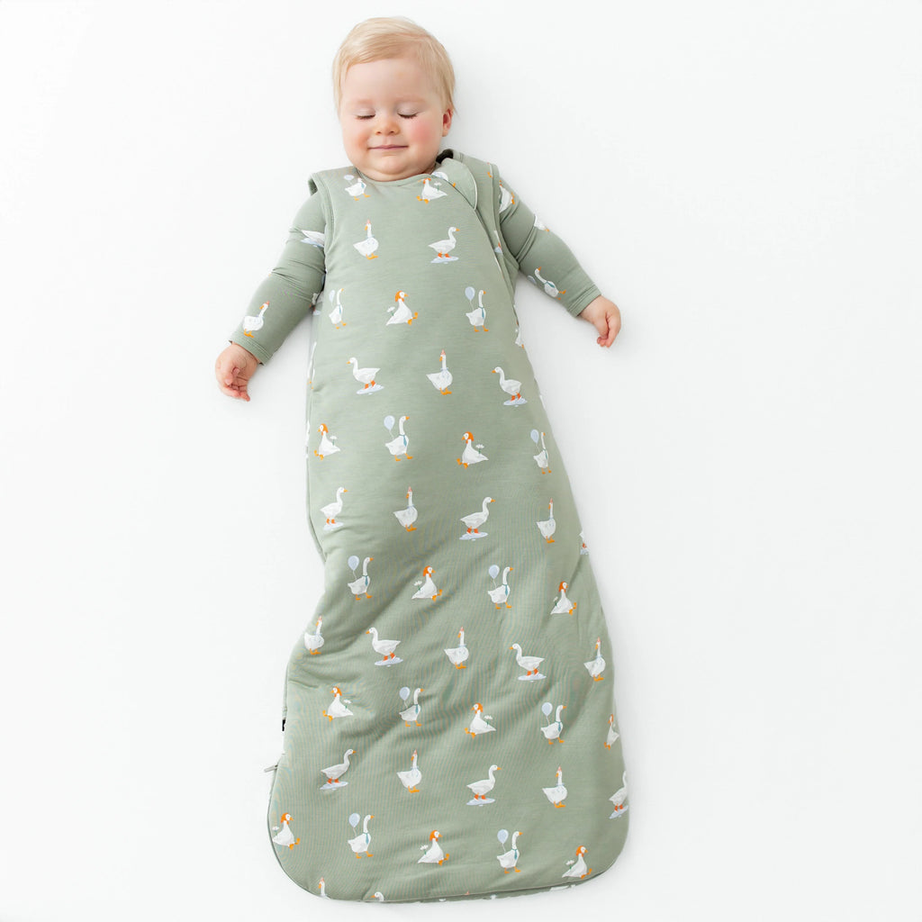 Sleep Bag 2.5