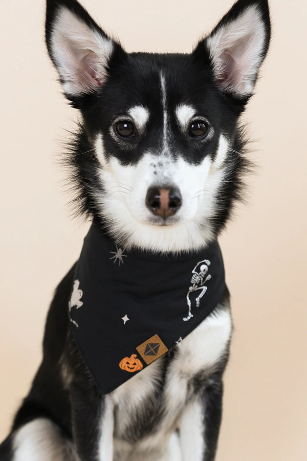 Dog Bandana
