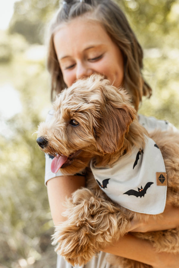 Dog Bandana