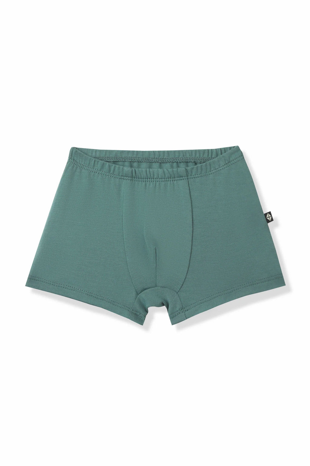 Briefs