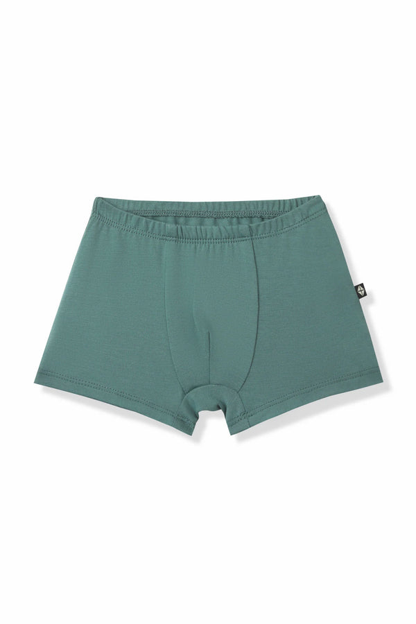 Briefs