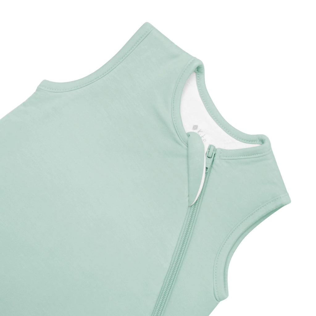 Sleep Bag 2.5