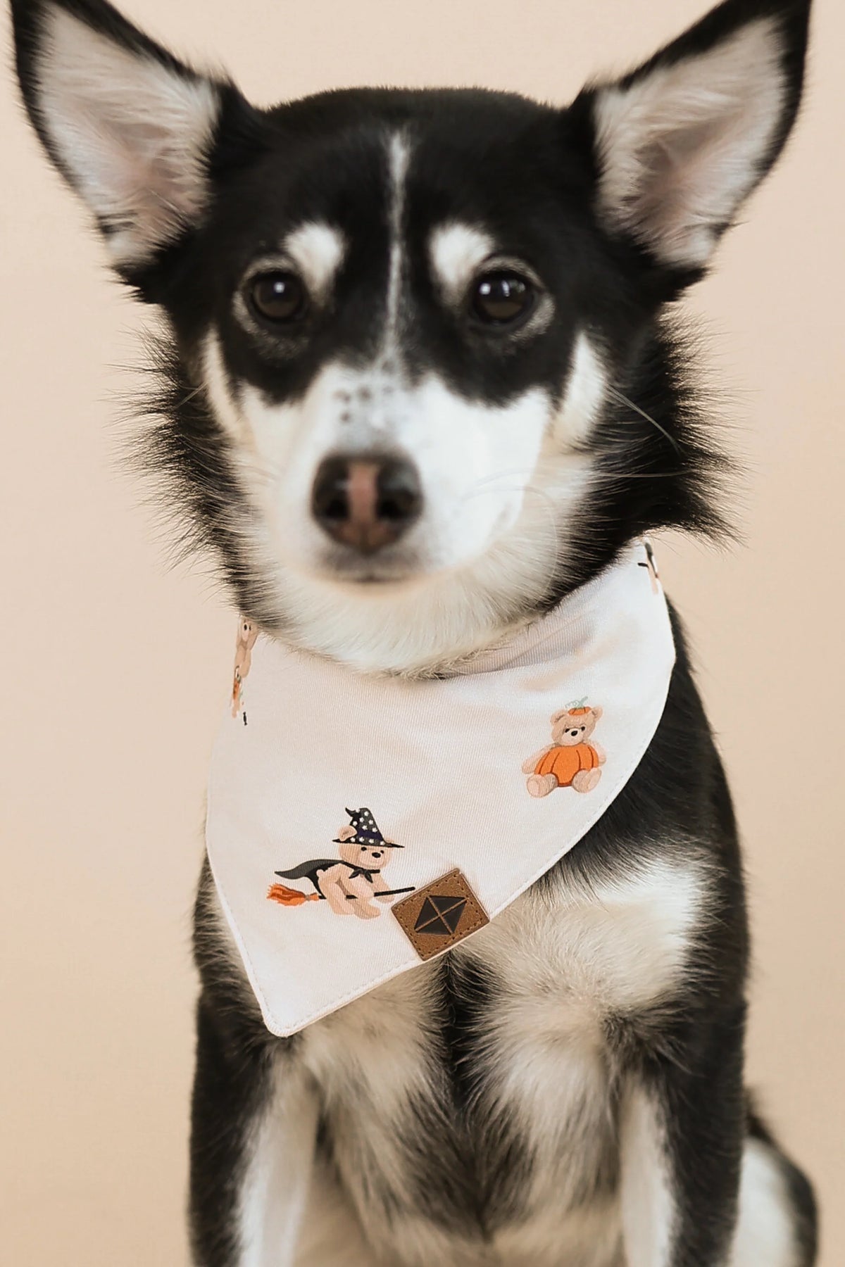 Dog Bandana Main image