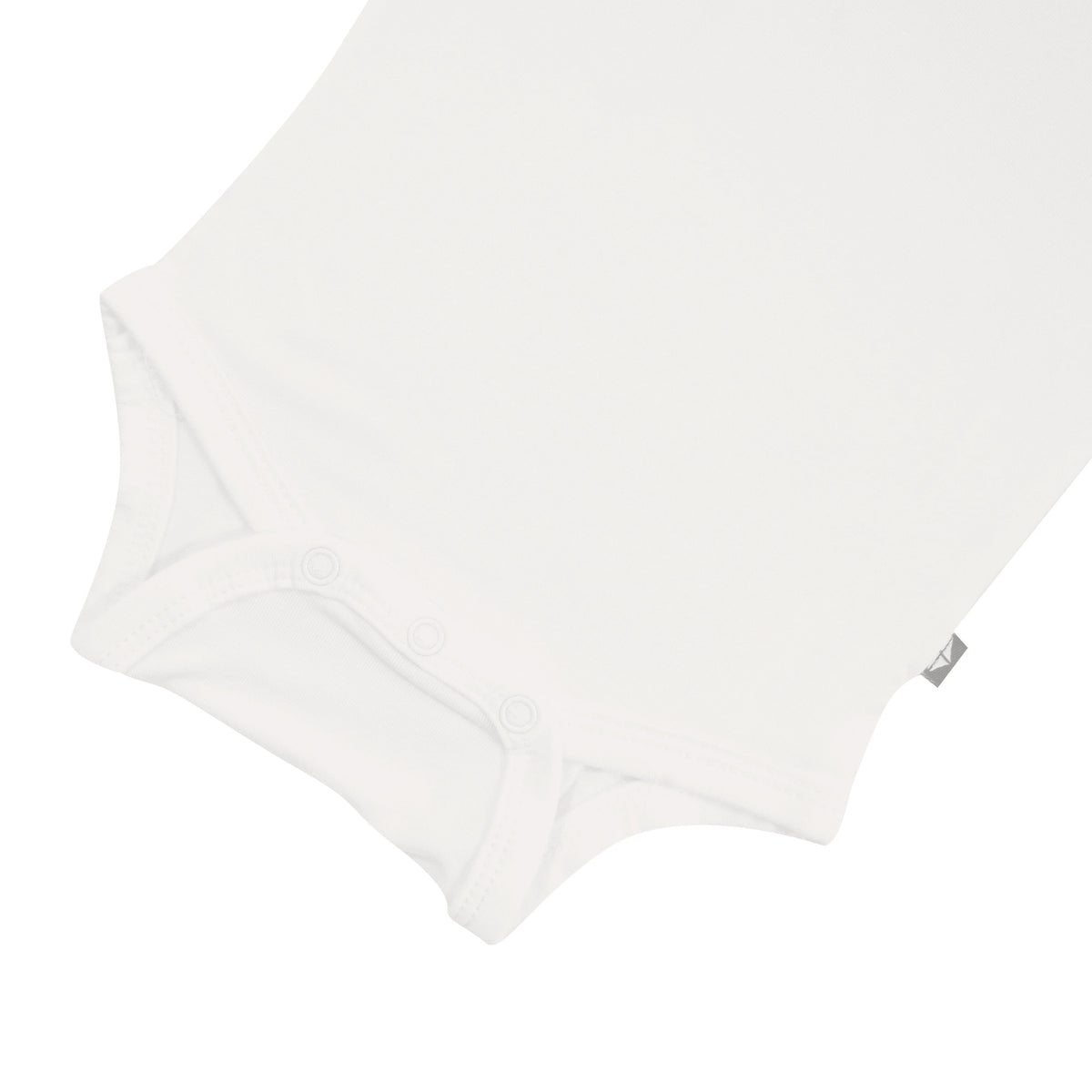 Long Sleeve Bodysuit