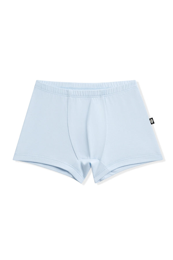 Briefs