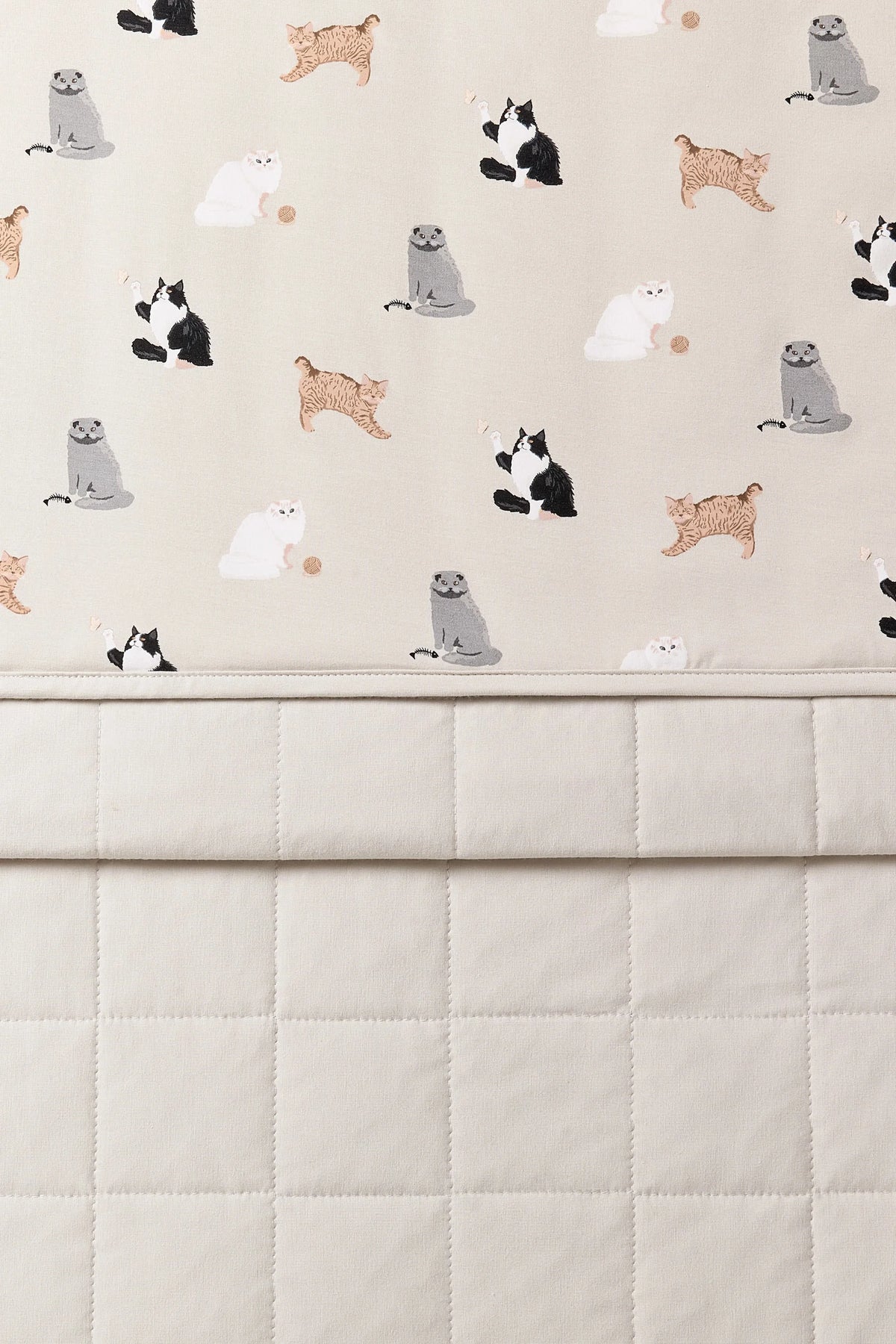 Youth Blanket 1.0