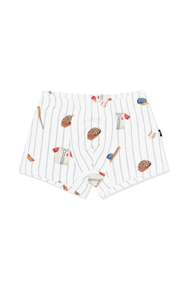 Briefs