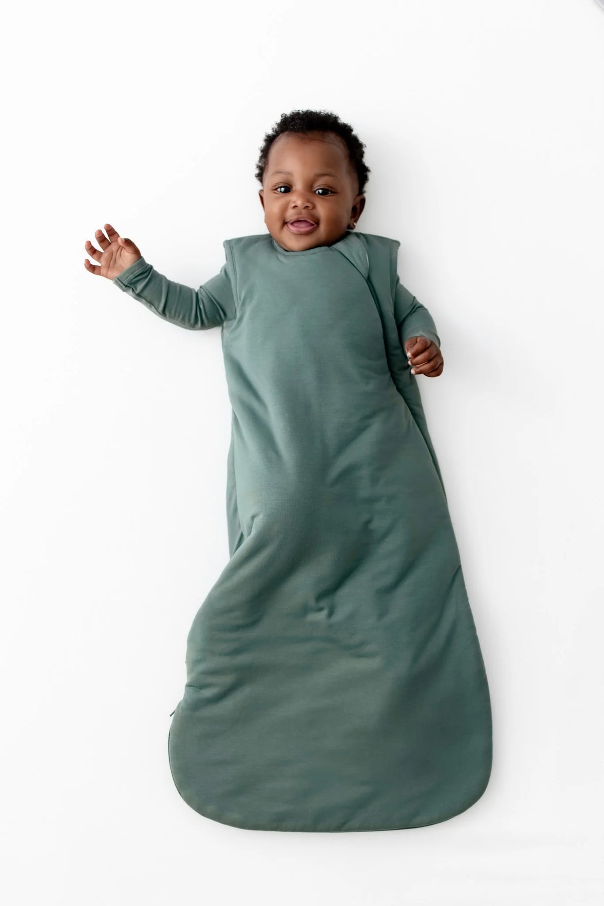 Sleep Bag 2.5 Main image