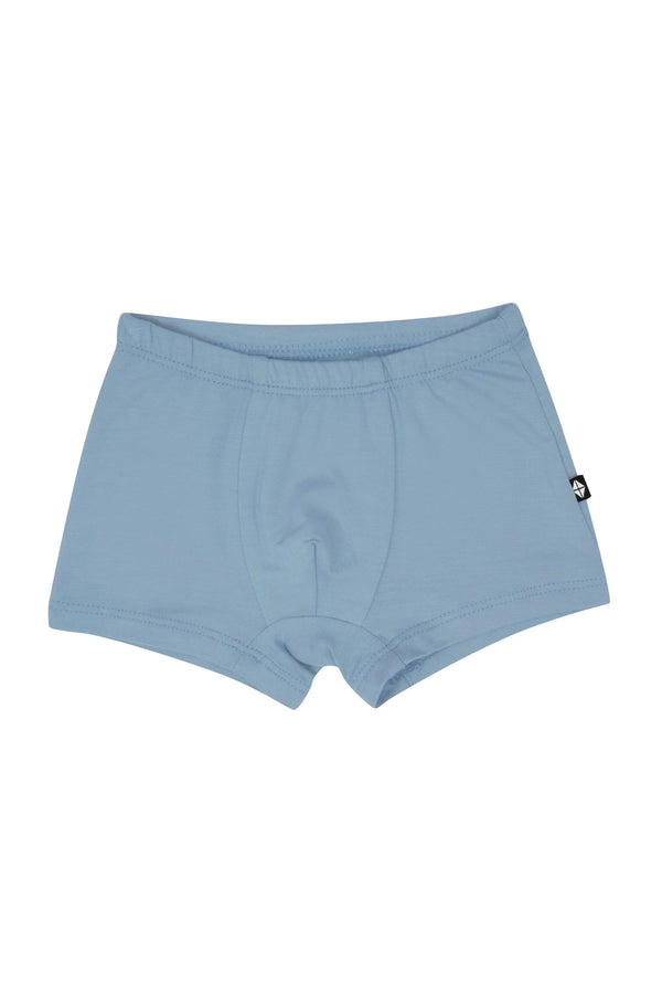 Briefs