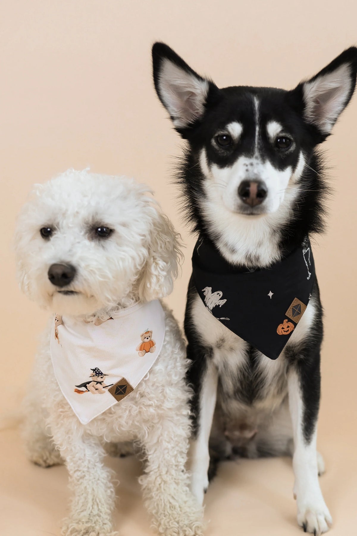 Dog Bandana
