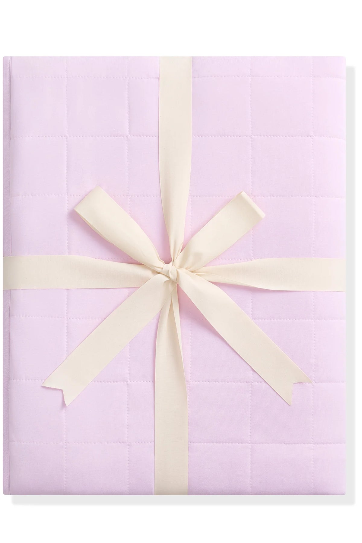 Adult Quilted Blanket 1.0