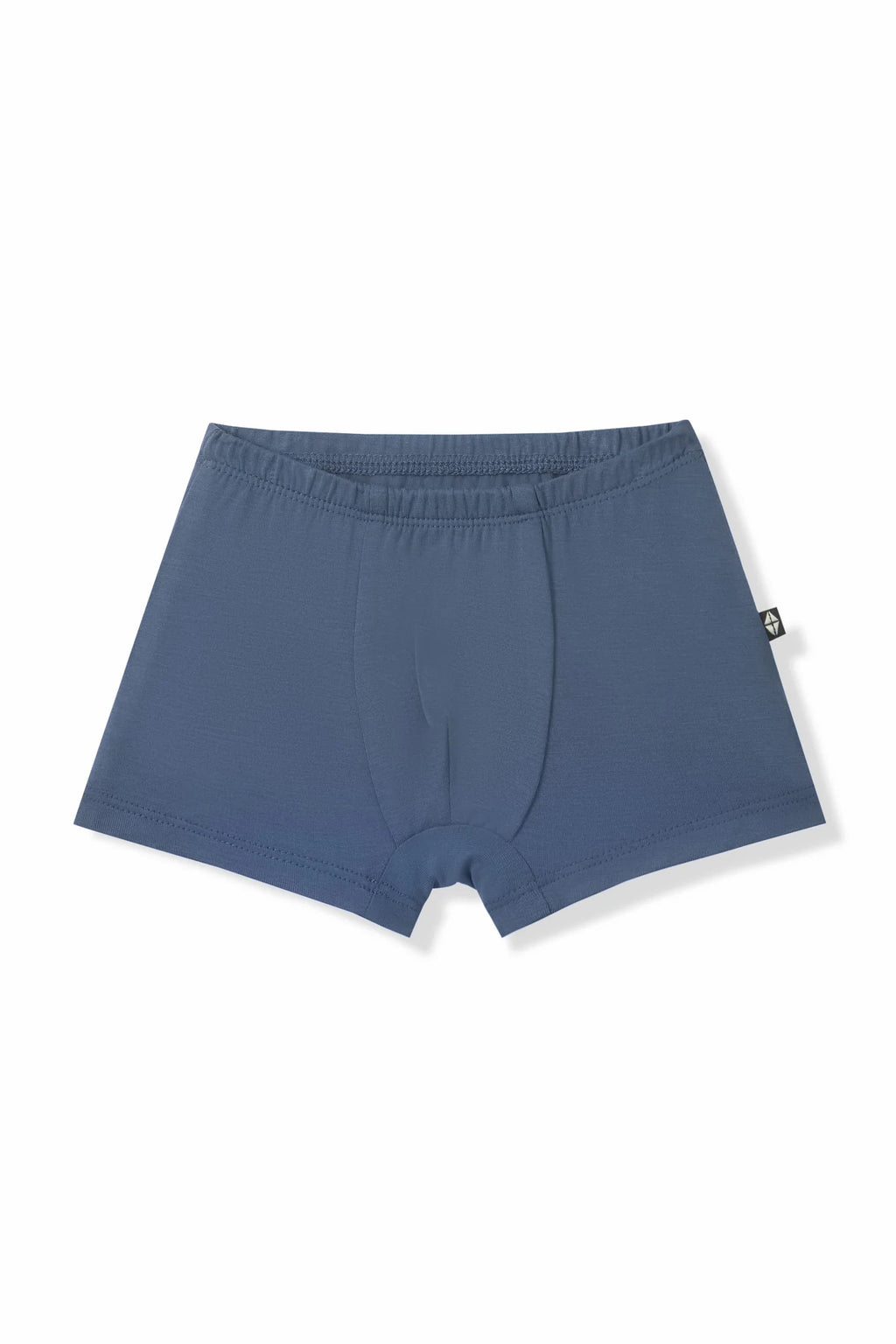 Briefs
