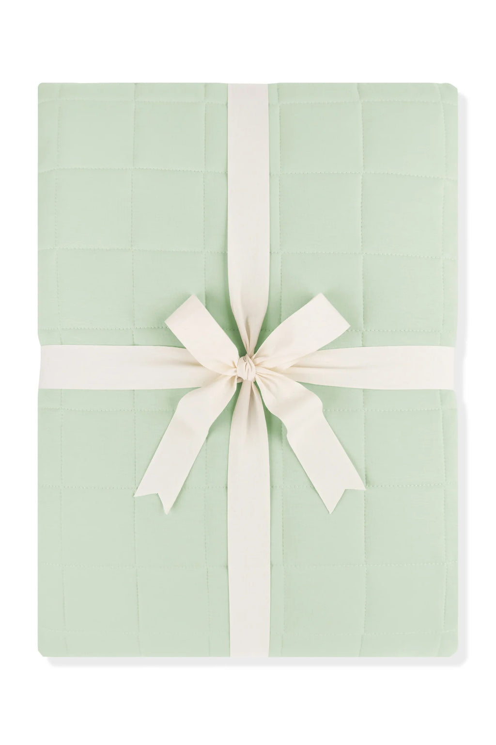 Adult Quilted Blanket 1.0
