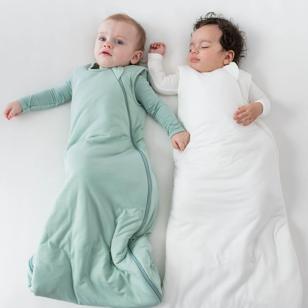 Sleep Bag 2.5